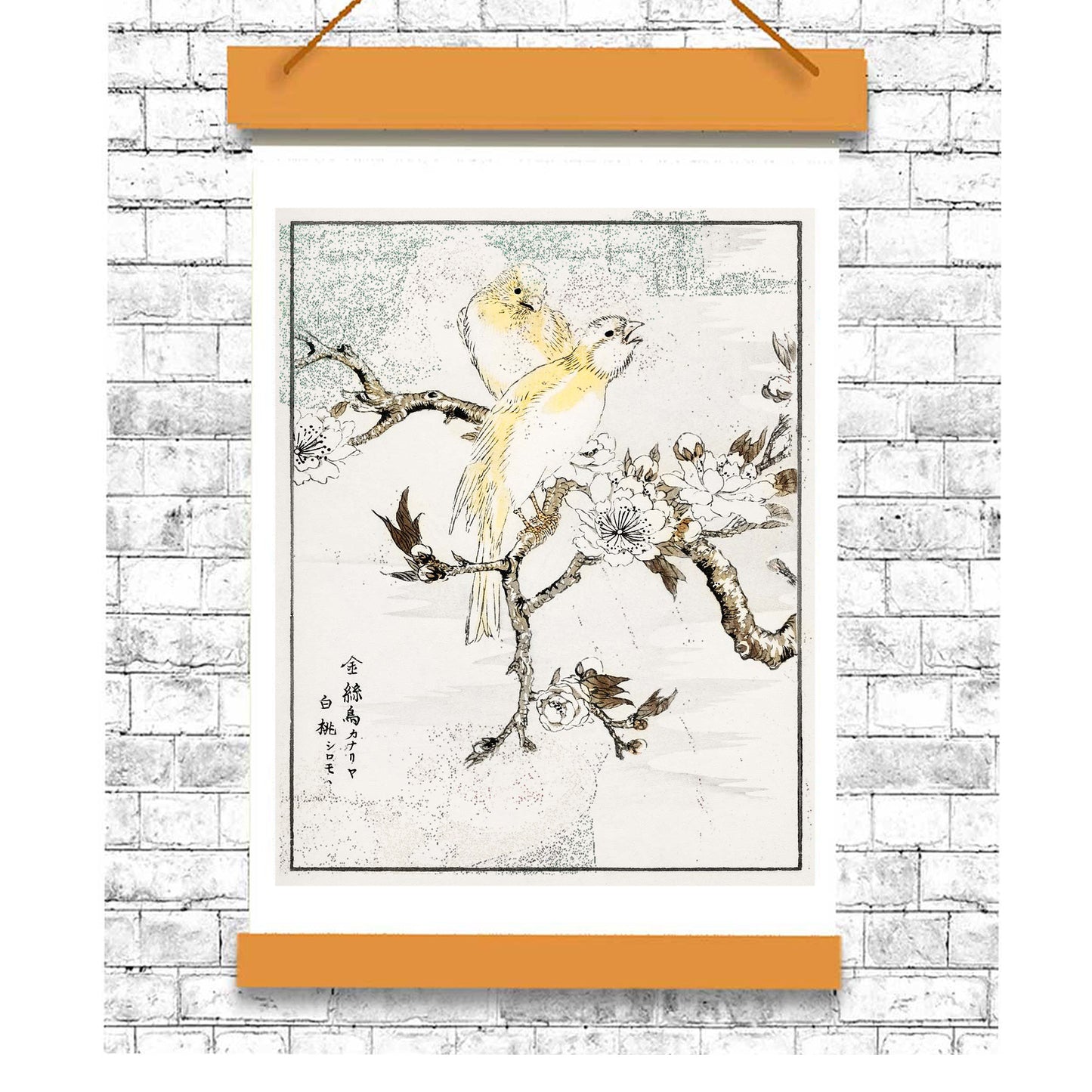 Canary and Peach by Numata Kashyu - Buy Print Only or Mounted with Choice of Accent Color