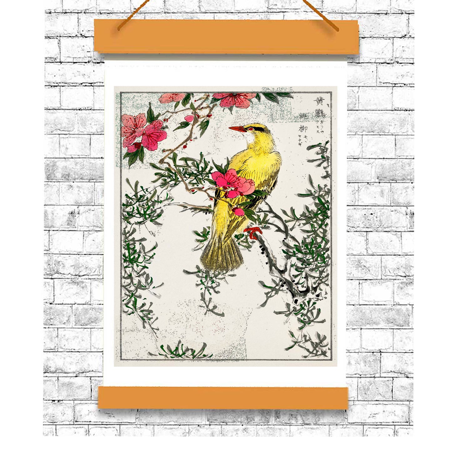 Chinese Bush-warbler by Numata Kashyu - Buy Print Only or Mounted with Choice of Accent Color