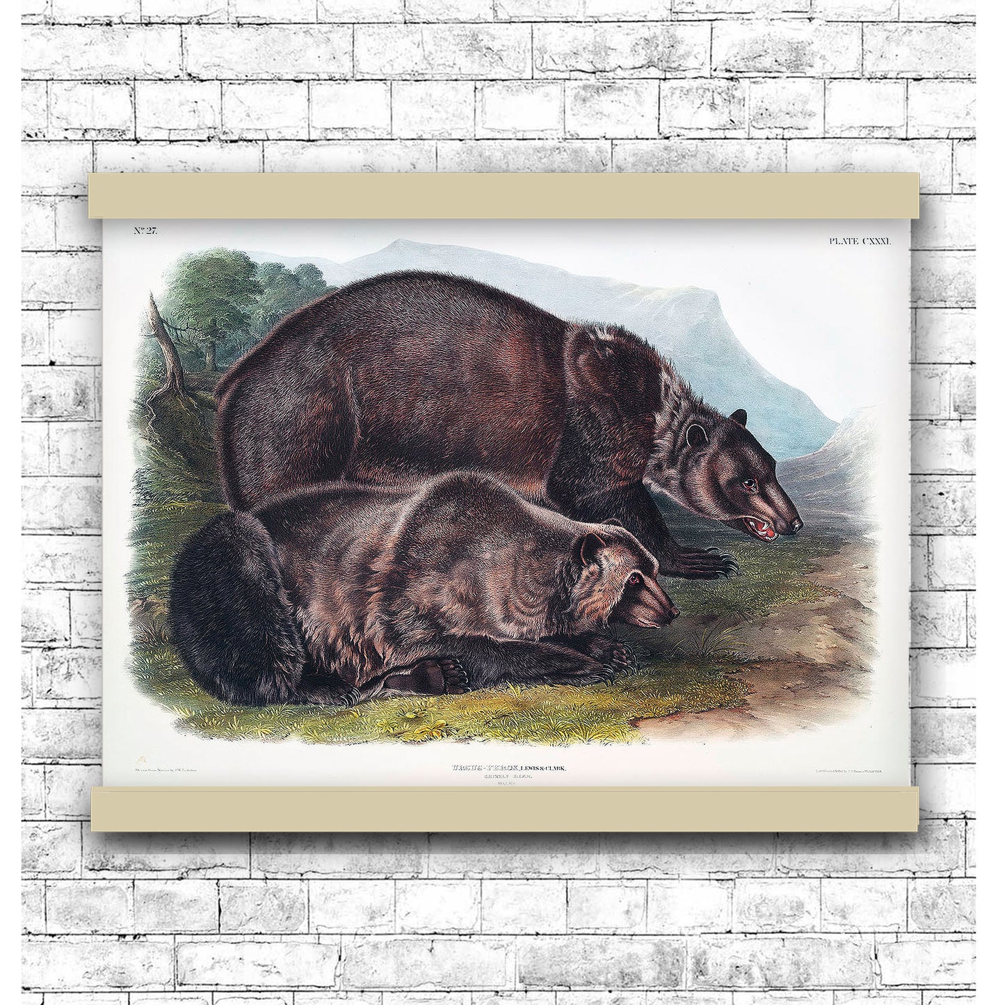 Grizzly Bear (Ursus ferox) by John James Audubon | Hanging Canvas Art | Choice of Board Colors
