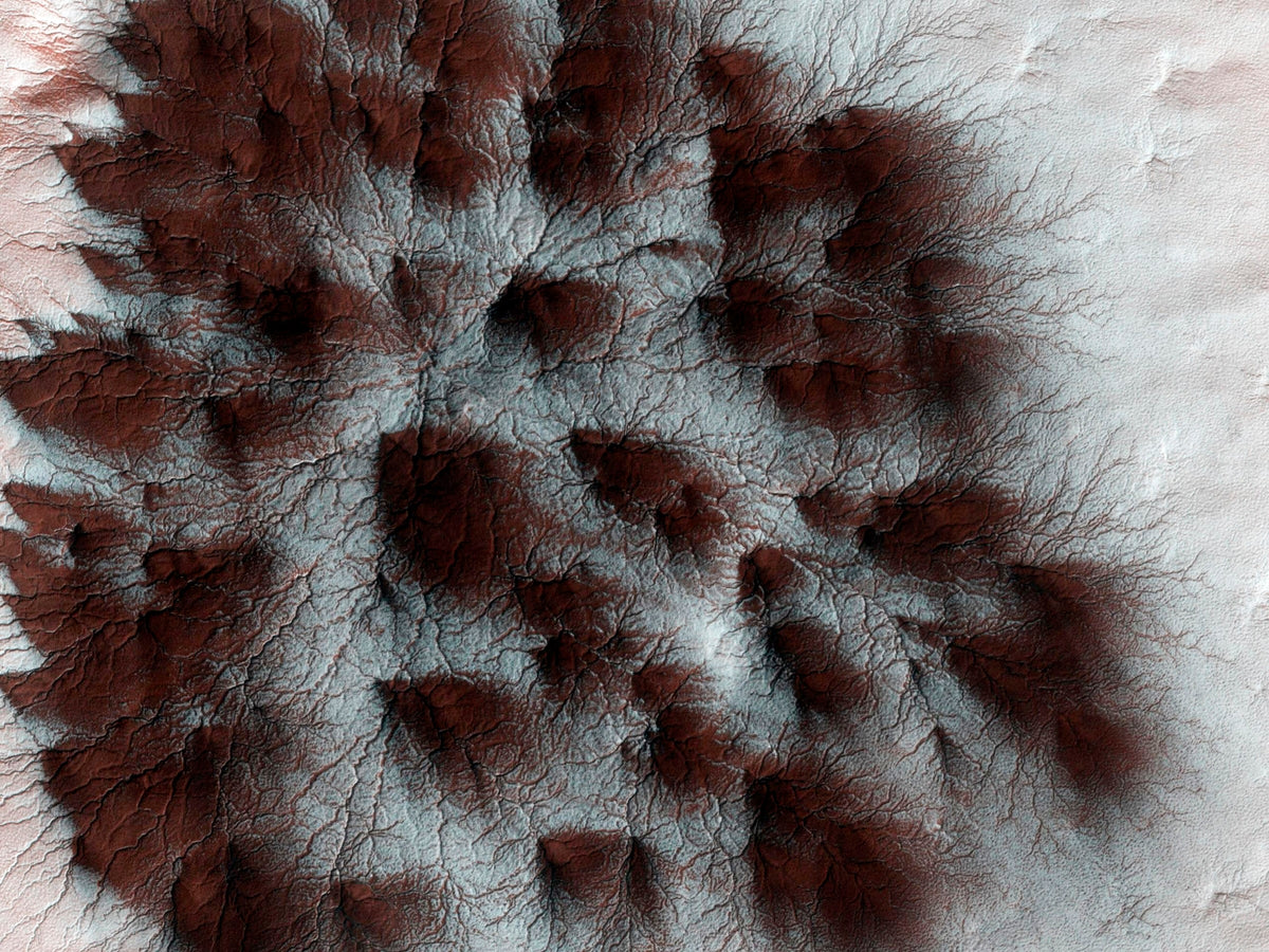 Mars seasonal cap of carbon dioxide ice