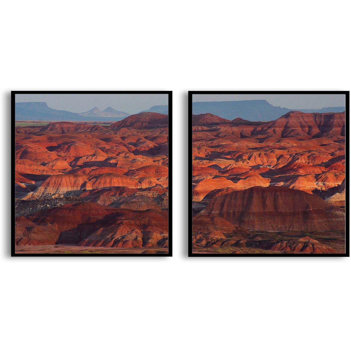 Petrified Forest National Park | Choose Style | Size & Trim Color