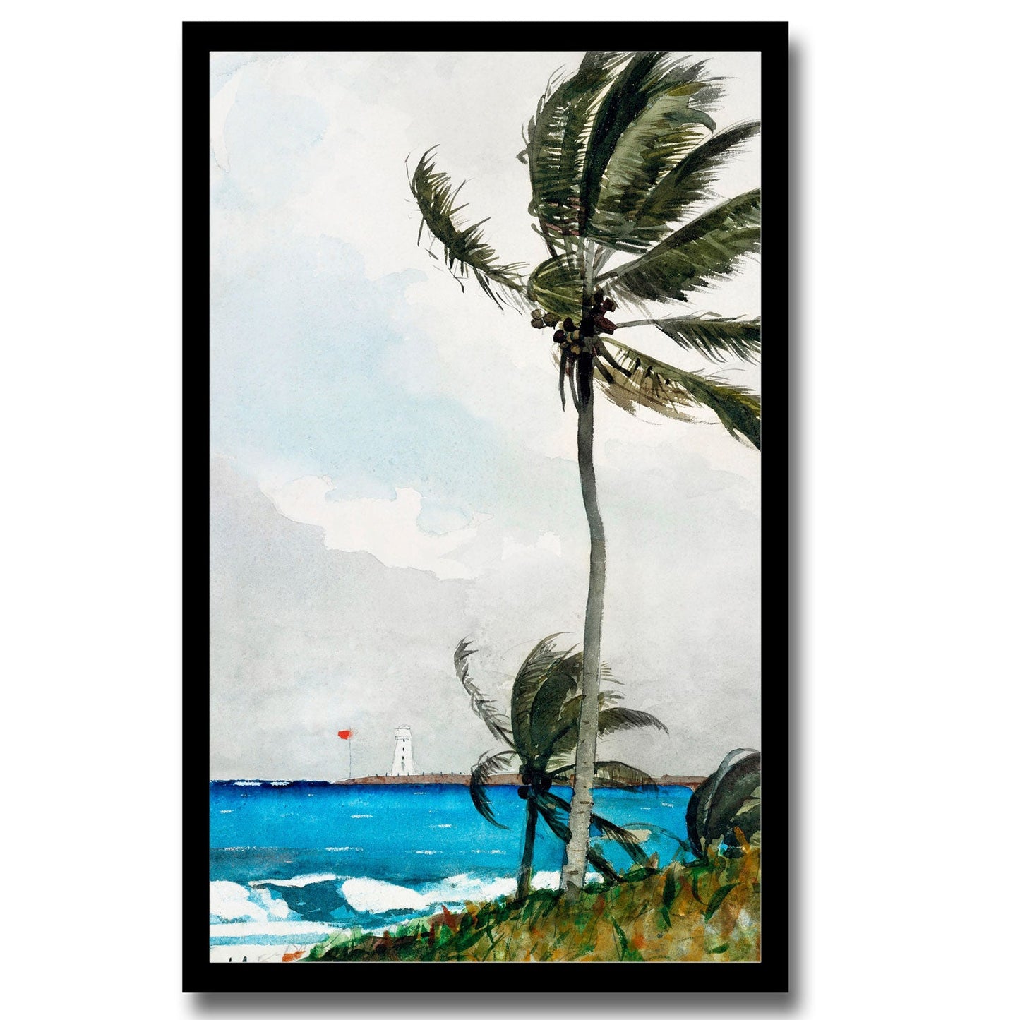 Palm Tree, Nassau (1898) by Winslow Homer
