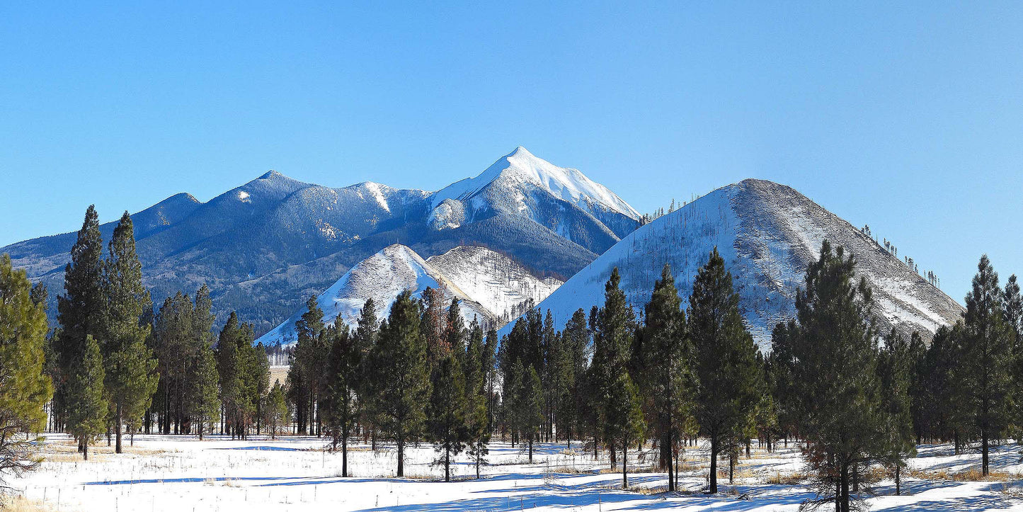 Pano of San Francisco Peaks | Choose Style | Size & Trim Color