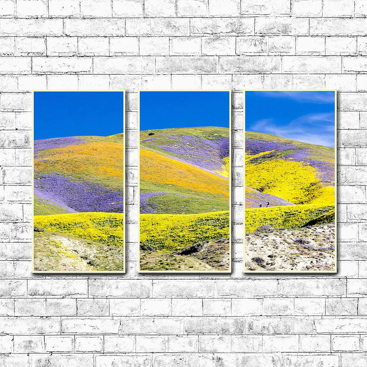 Carrizo Plain National Monument