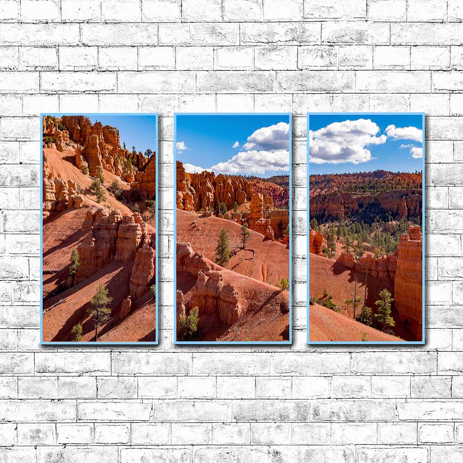 Dixie-National-Forest