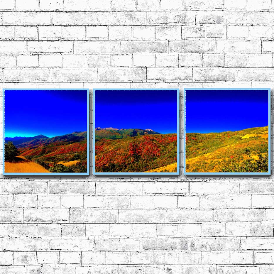 Uinta-Wasatch-Cache National Forest