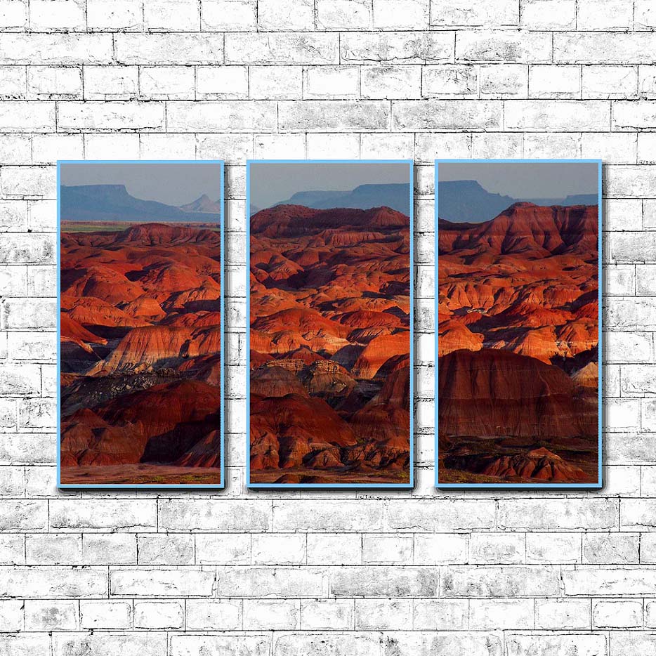 Petrified Forest National Park