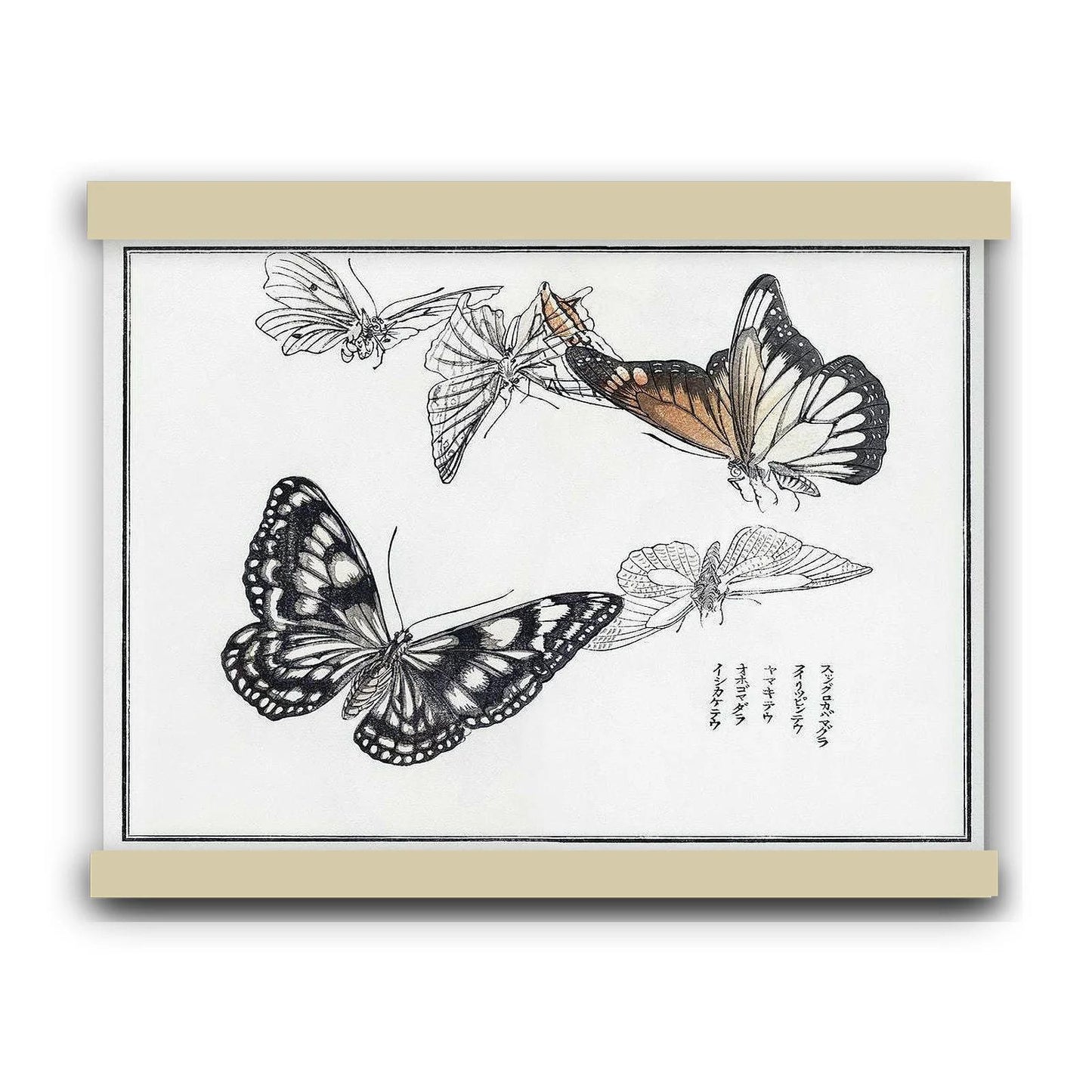 Butterflies by Kōno Bairei (1913) | Hanging Canvas Art | Choice of Board Colors
