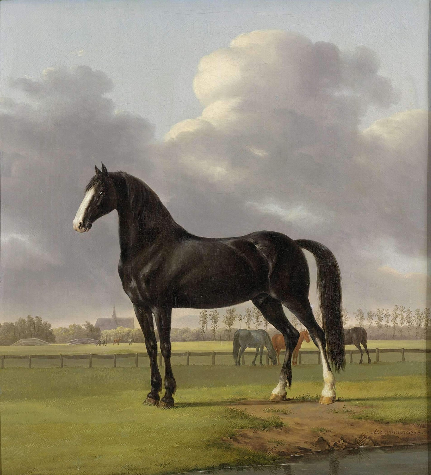 Hoop’s Trotter ‘De Vlugge’ (The Fast One) in a Meadow
