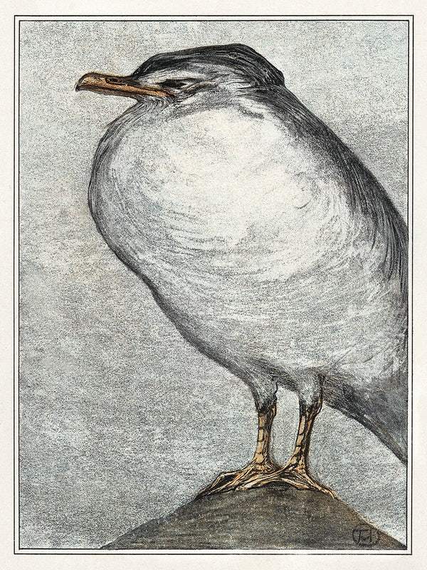 Zilvermeeuw (1878–1908) print in high resolution by Theo van Hoytema