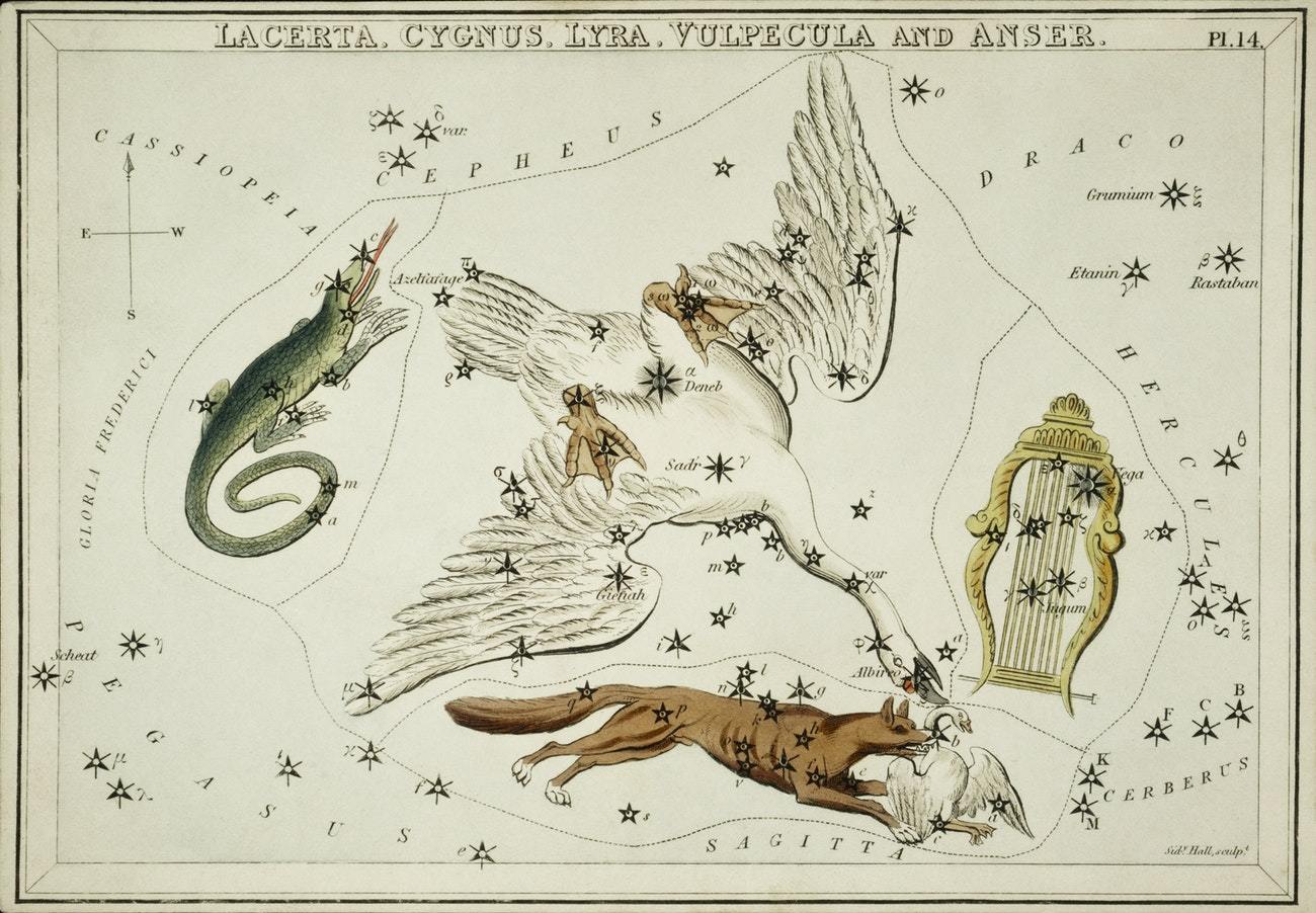 Sidney Hall’s (1831) astronomical chart illustration of the Lacerta, Cygnus, Lyra, et al