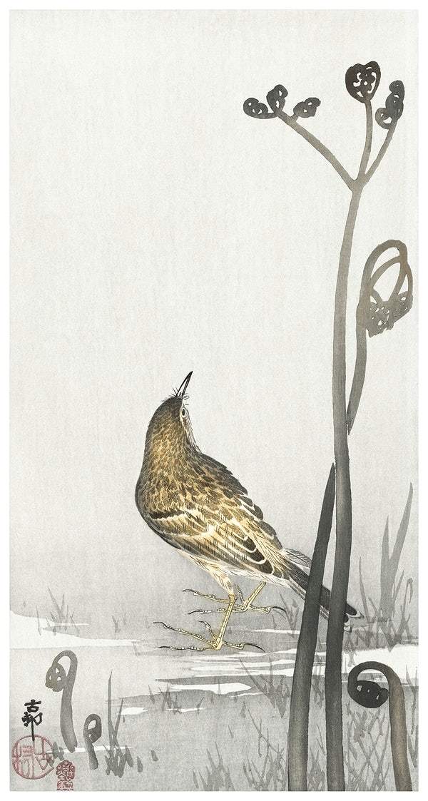 Pipit on a waterfront (1900-1910) by Ohara Koson