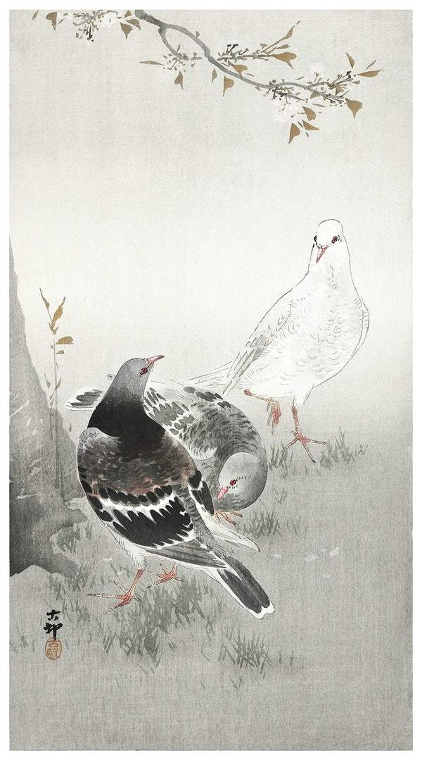 Three pigeons (1900-1930) by Ohara Koson