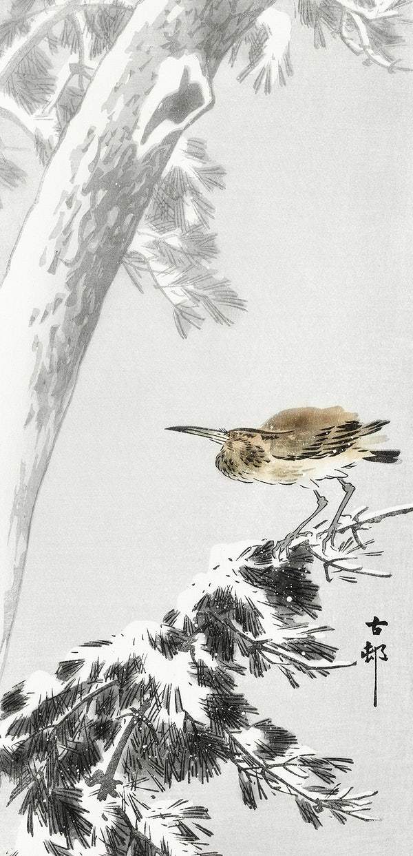 Indian quack on snowy tree branch (1900 - 1930) by Ohara Koson