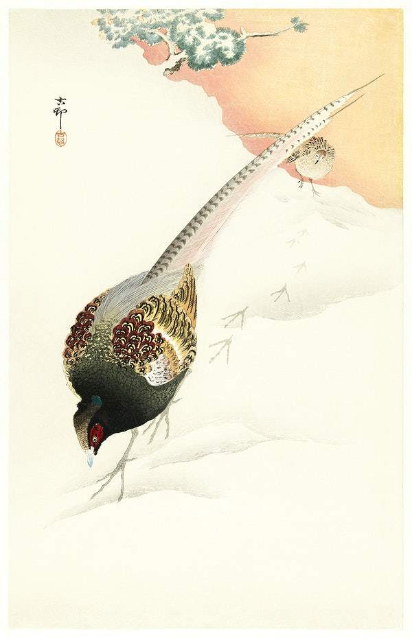 Pheasant couple in the snow (1900 - 1945) by Ohara Koson