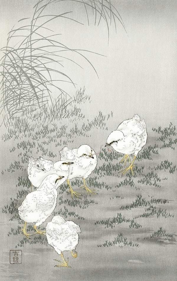Five chicks (1900 - 1936) by Ohara Koson