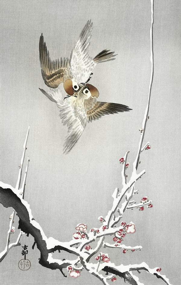 Sparrows and snowy plum tree (1900 - 1936) by Ohara Koson