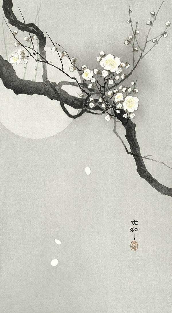 Plum blossom and full moon (1900 - 1936) by Ohara Koson