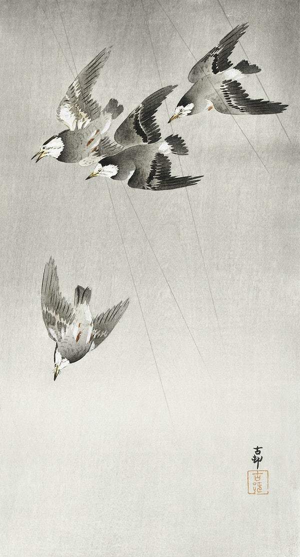 Starlings in the rain (1900 - 1930) by Ohara Koson