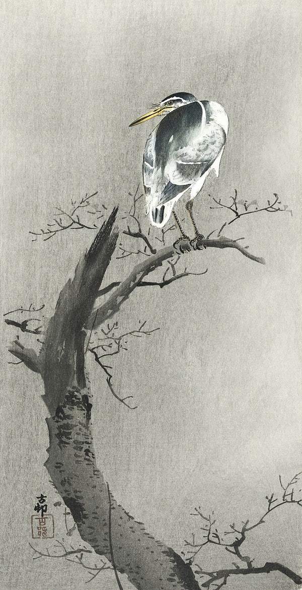 Kwak on branch (1900 - 1936) by Ohara Koson