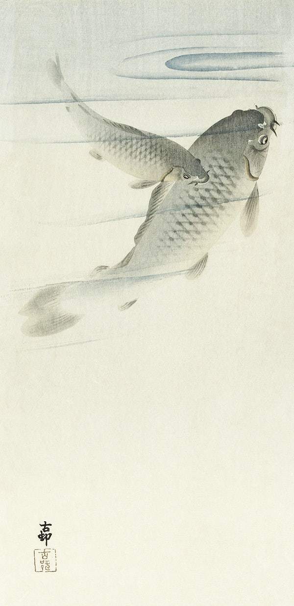 Carp (1900 - 1936) by Ohara Koson