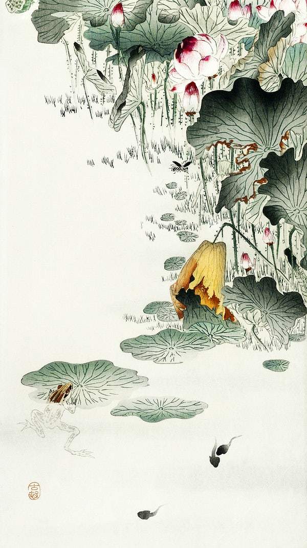 A Frog and tadpoles (1900 - 1930) by Ohara Koson