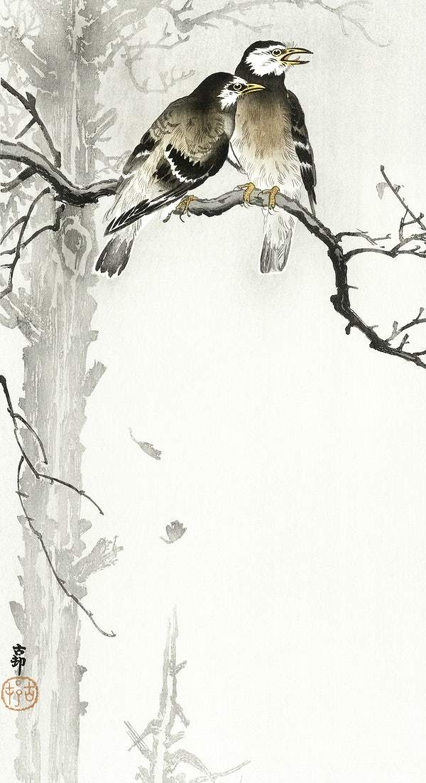 Two gray starlings (1900 - 1936) by Ohara Koson