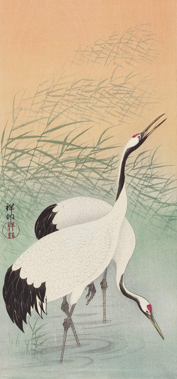 Two cranes (1925 - 1936) by Ohara Koson