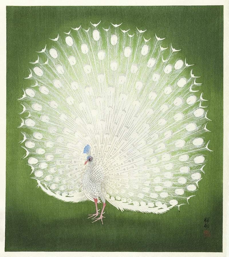 Peacock (1925 - 1936) by Ohara Koson