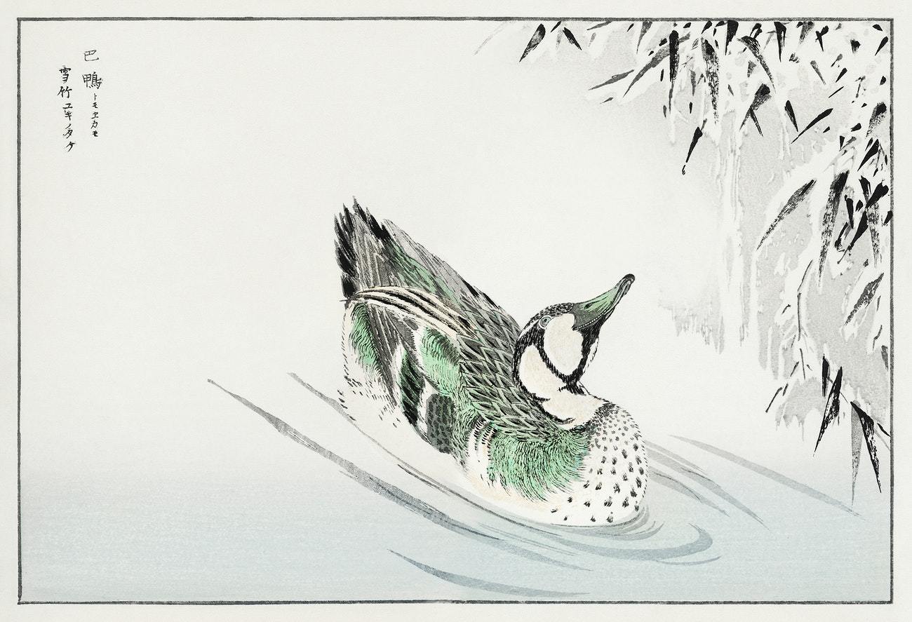 Spectacled Teal and Snow-bent Bamboo by Numata Kashui
