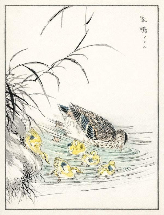 Duck and Ducklings (1885) by Numata Kashu