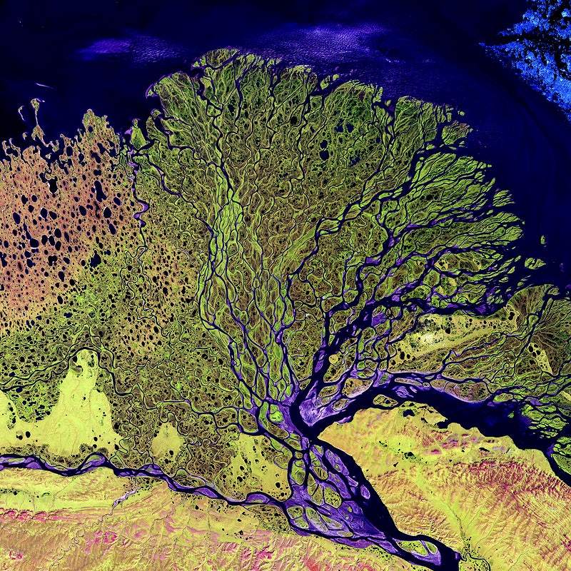 The Lena River Delta by NASA