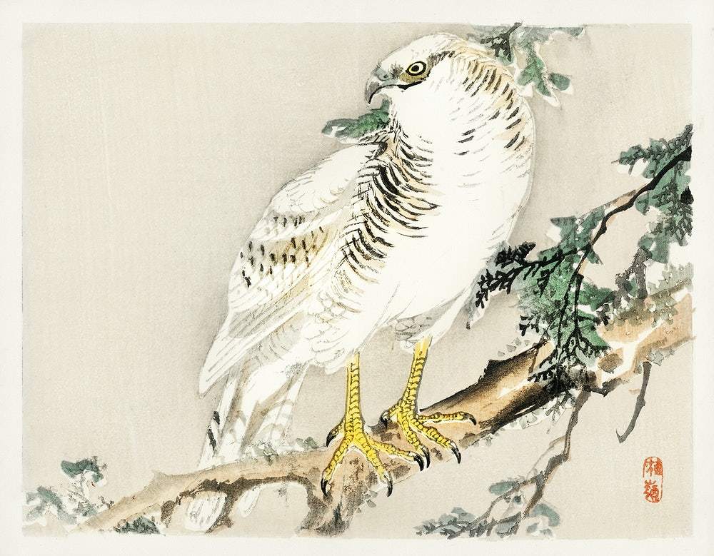 Oriental Bird by Kōno Bairei (1913)