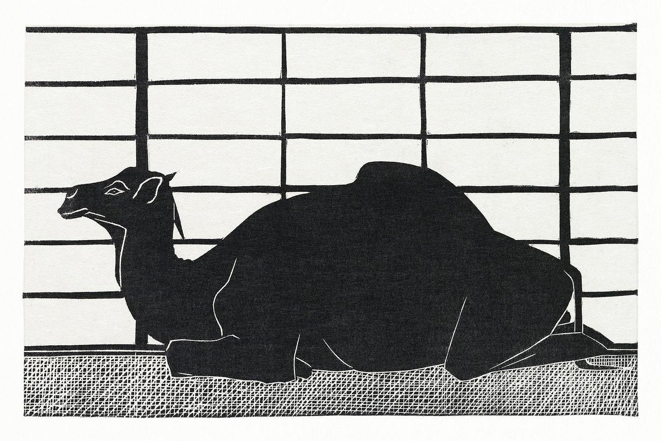 Dromedary (1912) print in high resolution by Samuel Jessurun de Mesquita