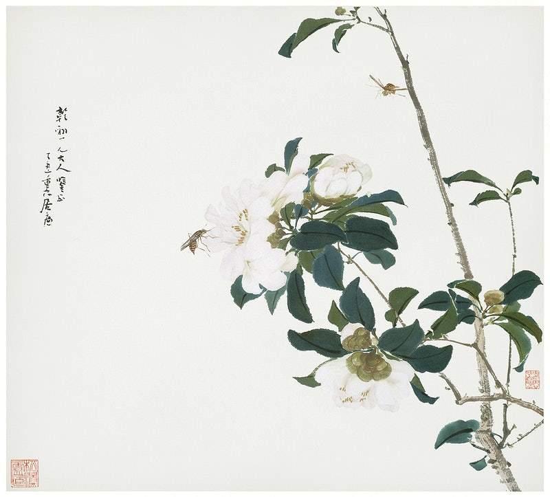 Insects and Flowers by Ju Lian