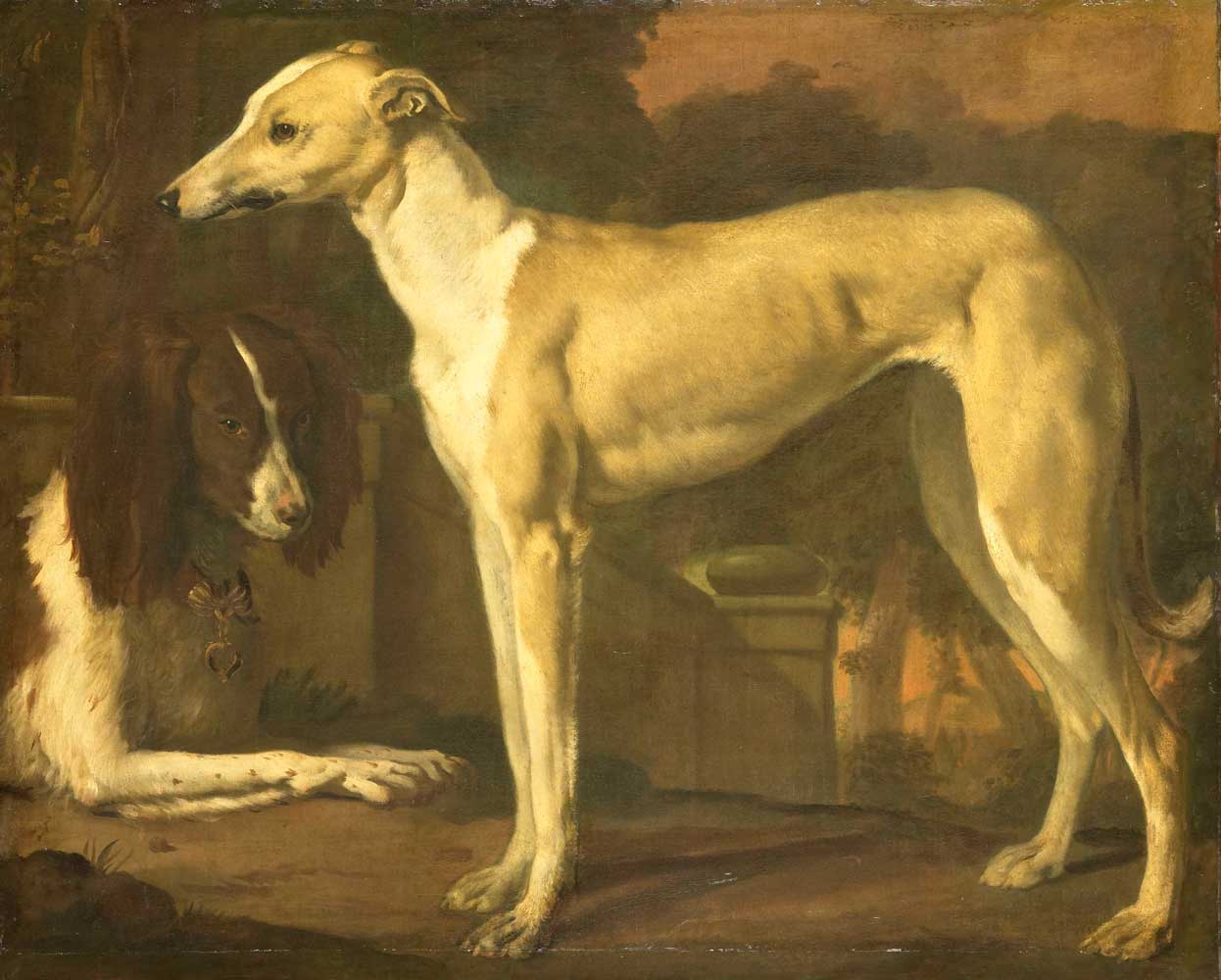 Portrait of Dogs by Jan Weenix 1665