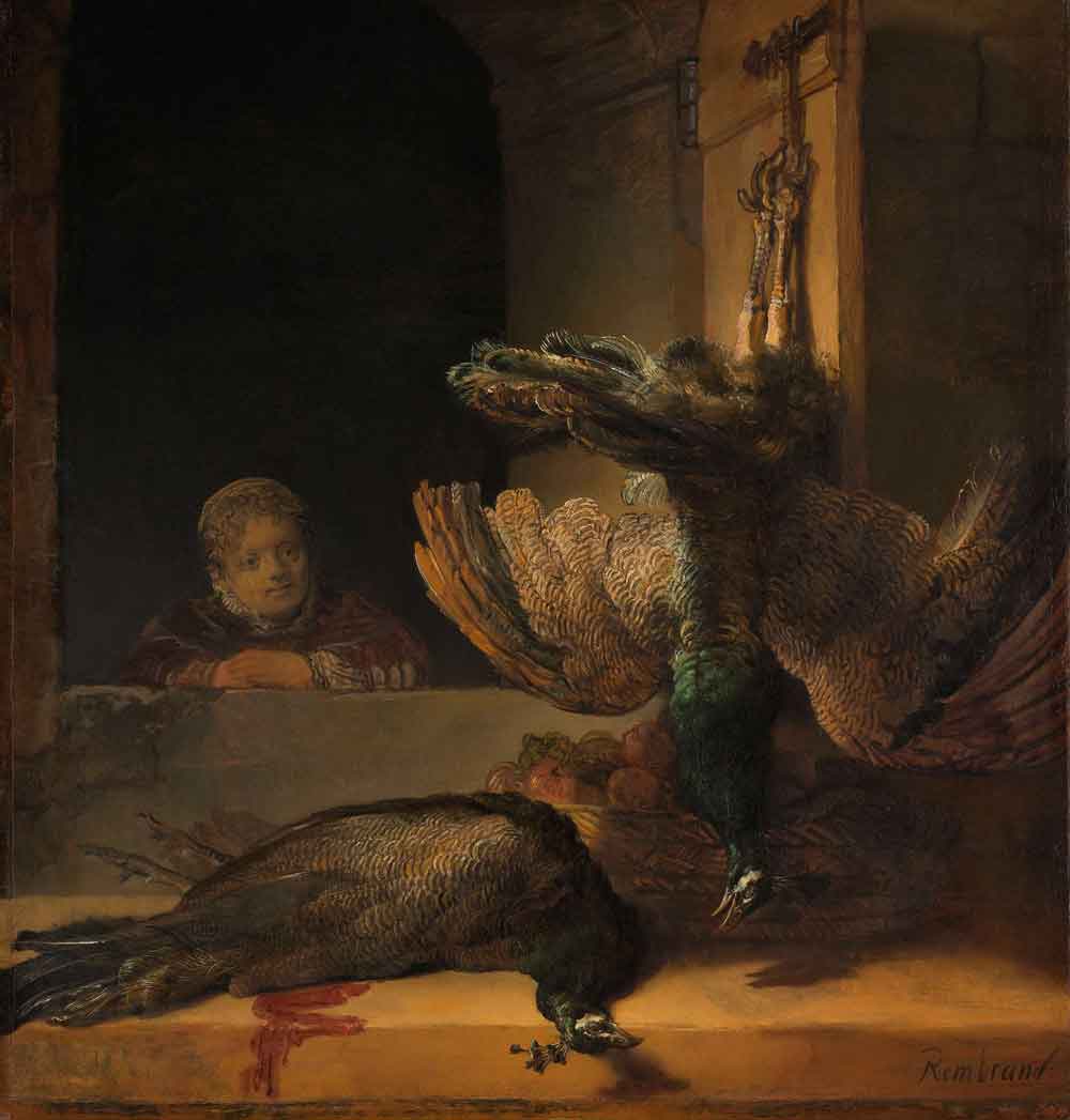 Peacocks by Rembrandt van Rijn 1639