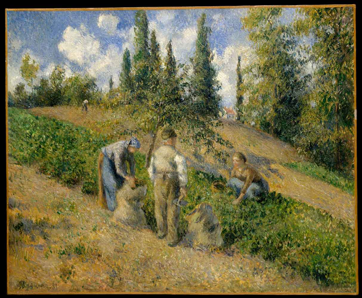 The Harvest, Pontoise by Camille Pissarro 1881