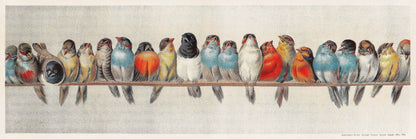 A Perch of Birds - Oriental