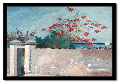 A Wall in Nassau by Winslow Homer