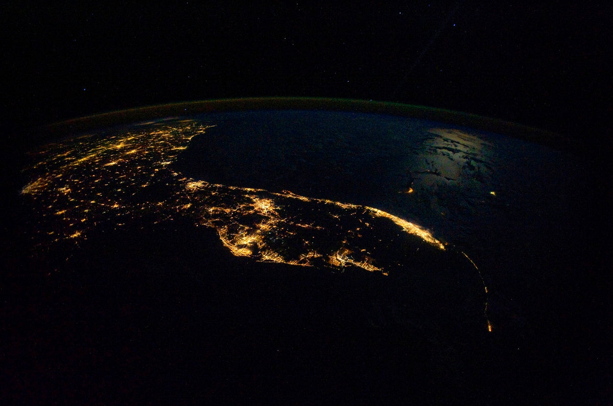 ALIEN VIEW OF FLORIDA