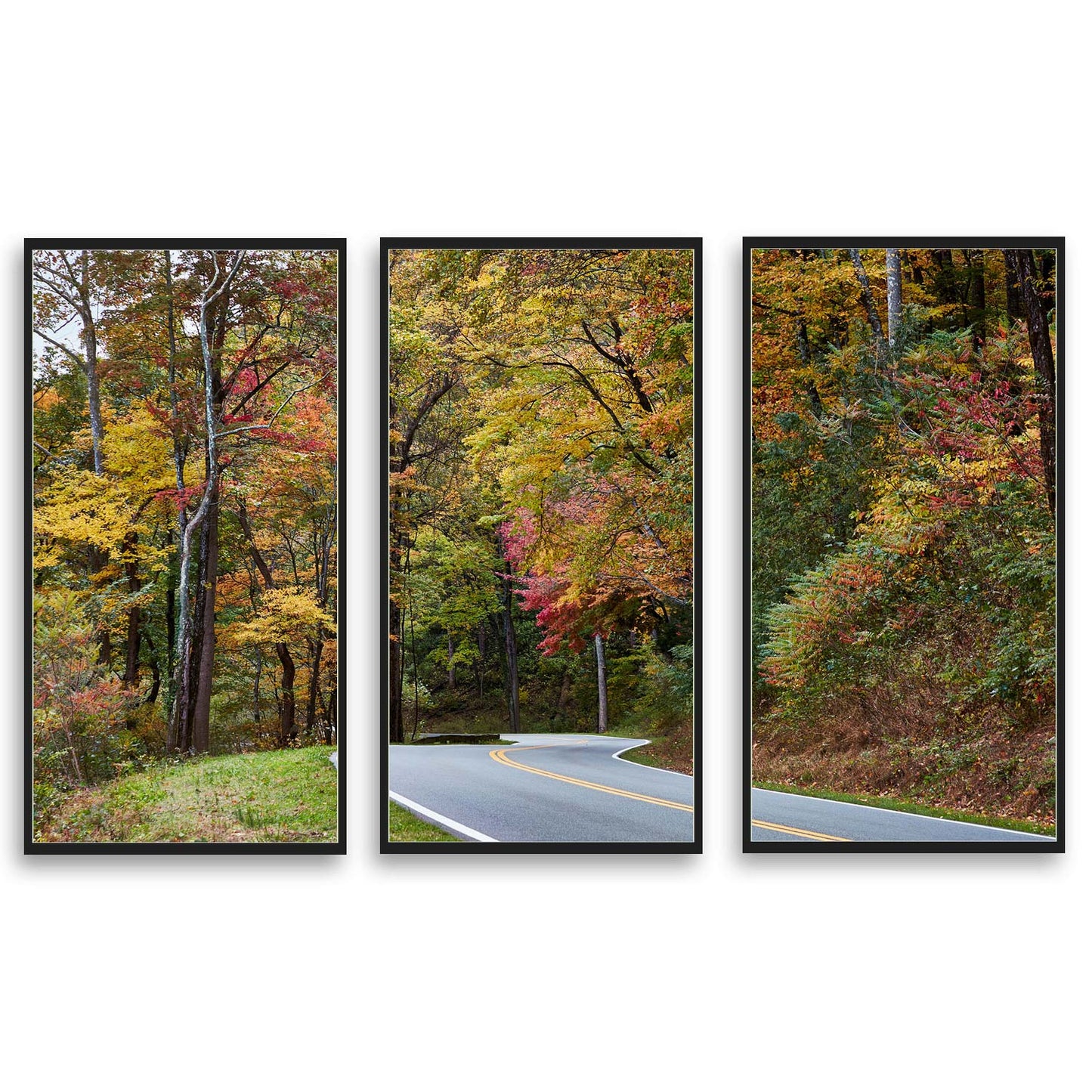 Autumn splendor in the Tennessee  | Choose Style | Size & Trim Color