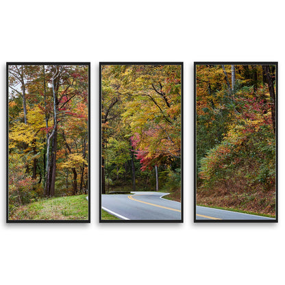 Autumn splendor in the Tennessee  | Choose Style | Size & Trim Color