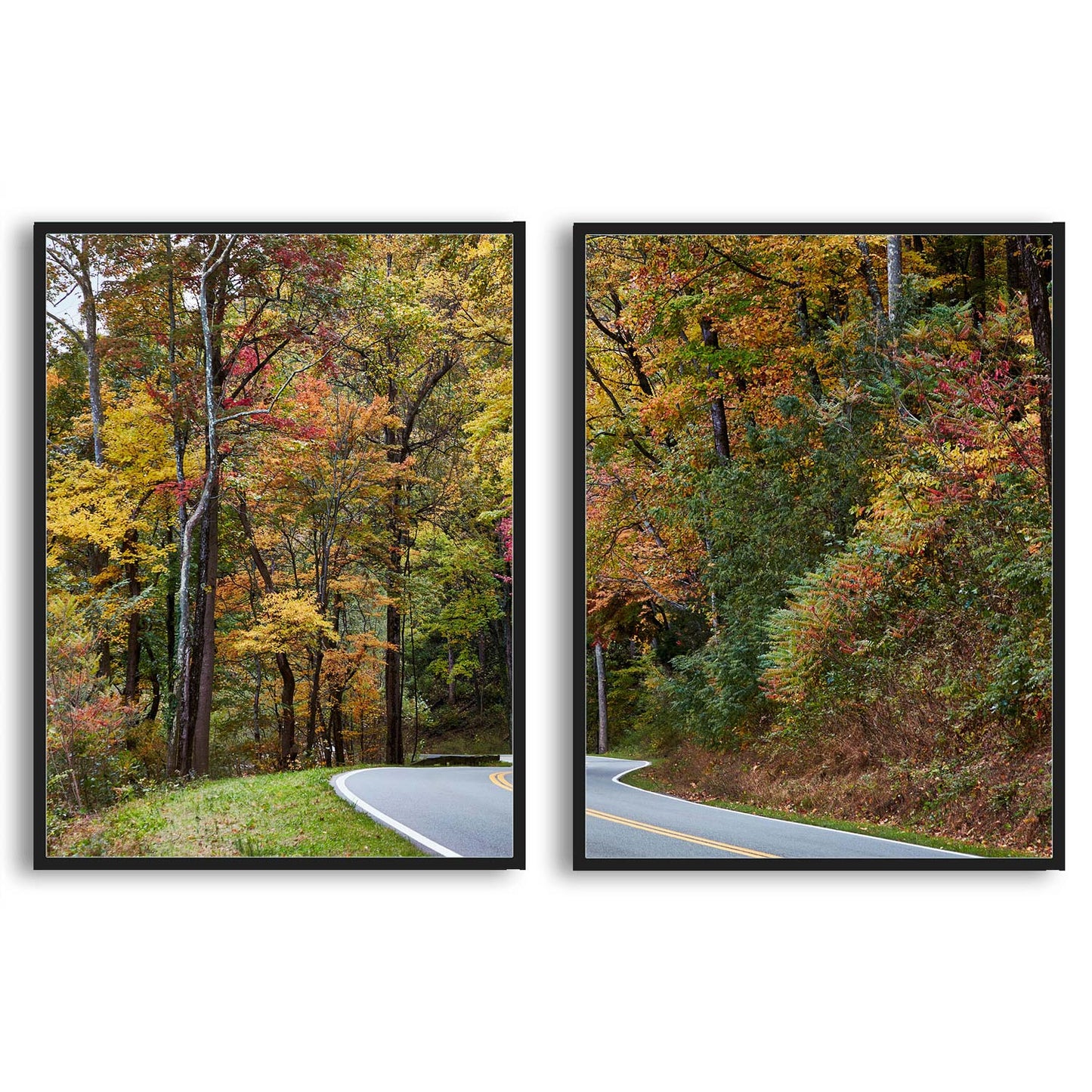 Autumn splendor in the Tennessee  | Choose Style | Size & Trim Color
