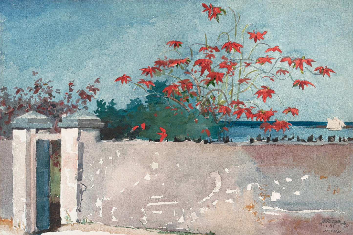 A Wall in Nassau by Winslow Homer