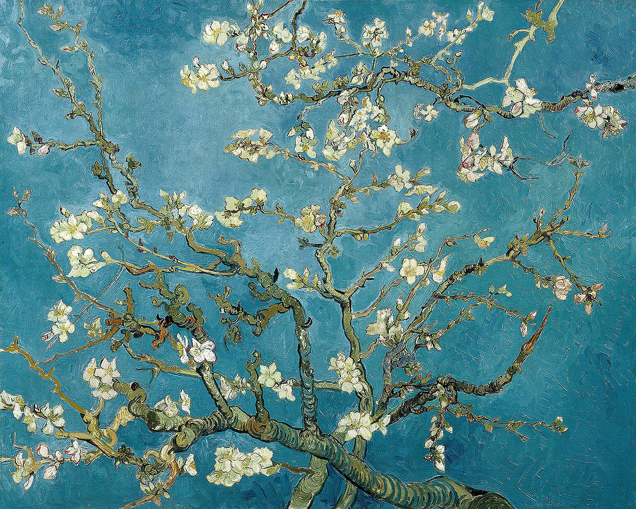 Almond Blossoms by Vincent van Gogh - Buy Print Only or Mounted with Choice of Accent Color