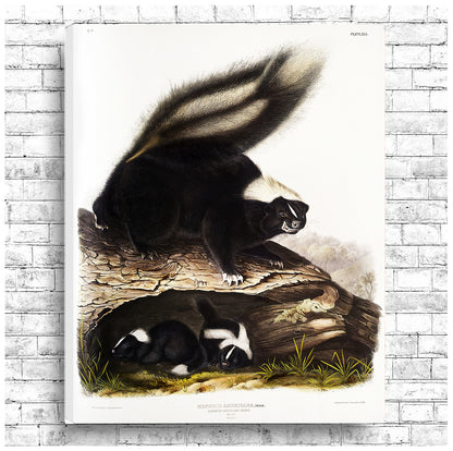A framed print depicting two skunks near a fallen log.