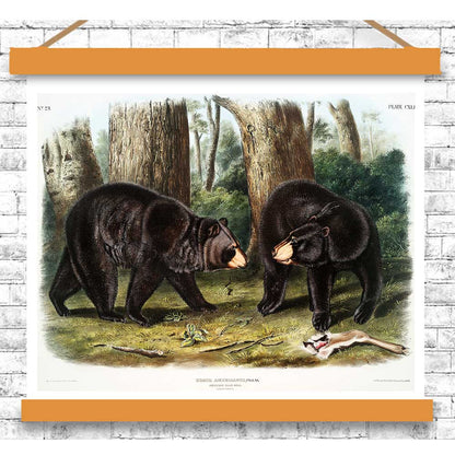 Illustration of two bears in a forest setting on a white background with orange border.