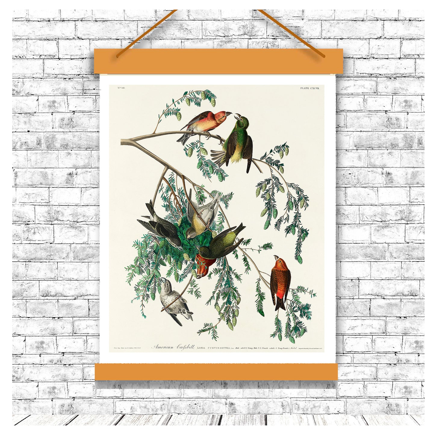 Decorative poster with birds on a branch hanging on a brick wall.