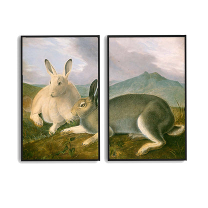 Arctic Hare by John J. Audubon  | Choose Style | Size & Trim Color